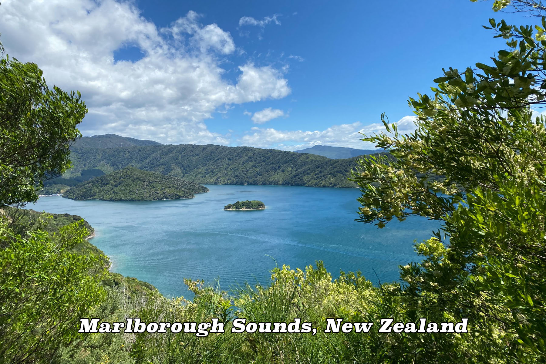 Marlborough Sounds New Zealand