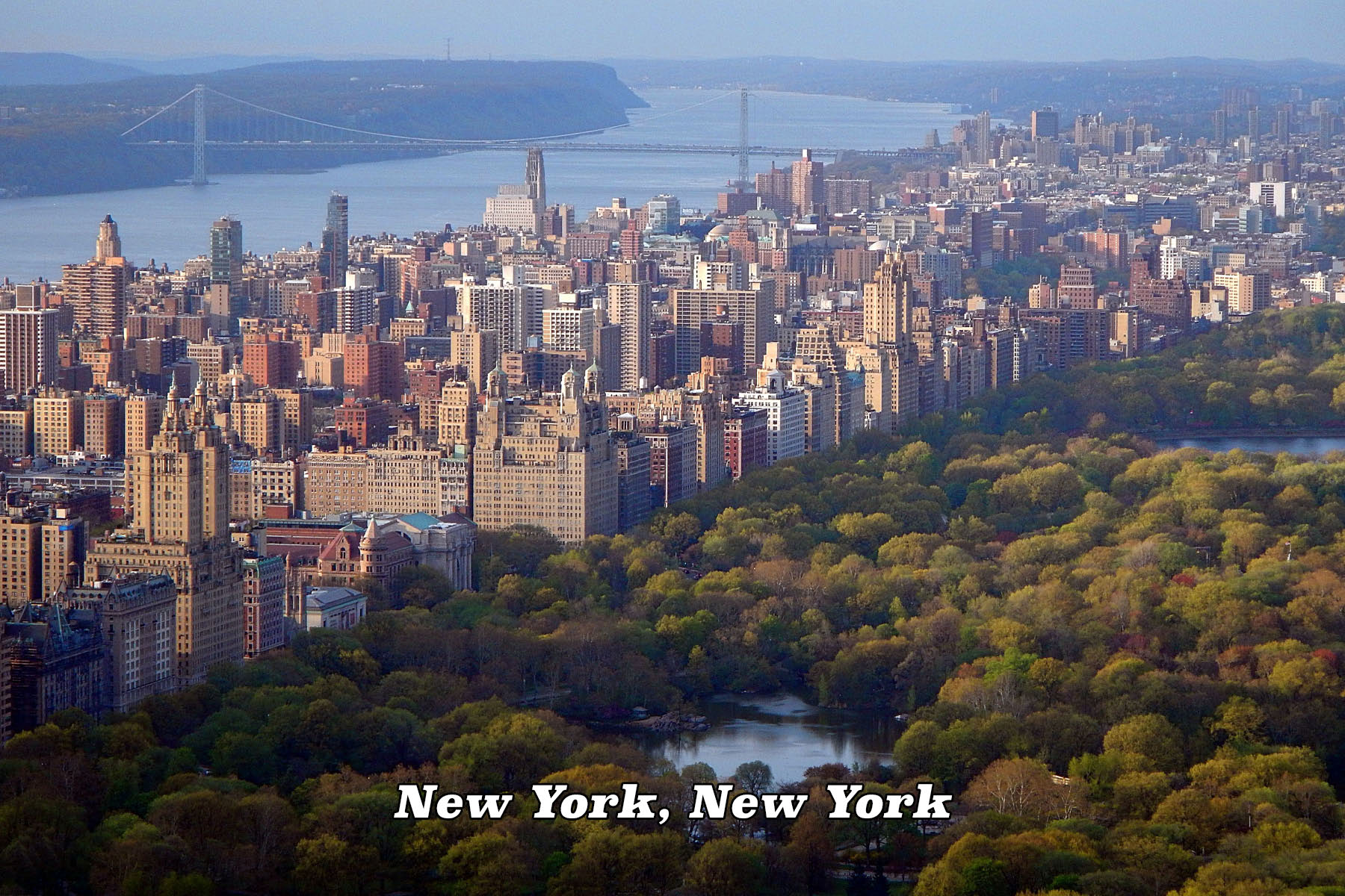 New York New York